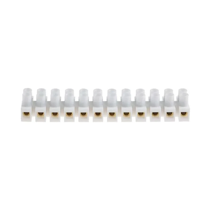 RS PRO Non-Fused Terminal Block 12-Way 14AWG Wire 6A Screw 400V Polypropylene Brass Contacts 703-3814