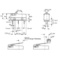 ZF Roller Lever Micro Switch Through Hole Terminal 6A 250V AC SPDT IP50 DB1C-C1RC