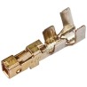TE Connectivity Dynamic 1000 Series Female Crimp Terminal, 3A, 28 AWG Min, 22 AWG Max, Gold Plated, Crimp 1827570-2