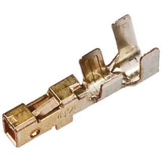 TE Connectivity Dynamic 1000 Series Female Crimp Terminal 3A Current Gold Plated Copper Alloy 13.3mm Length 1827570-2