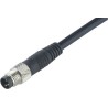 binder Sensor Actuator Cable Male 4 Way Straight to 34 Way Unterminated, 5 m, Series 718, 30V, Grey Jacket 79-3381-42-04