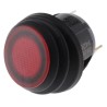 ZF Illuminated SPST On-Off Rocker Switch Panel, Red Actuator, 16A, IP56 KCA2AEA2RBB