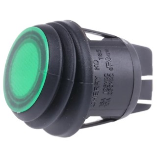 ZF Illuminated DPST On-Off On-Off Rocker Switch Panel Green Actuator Polyamide 66 Housing KDH3AEA2GBB