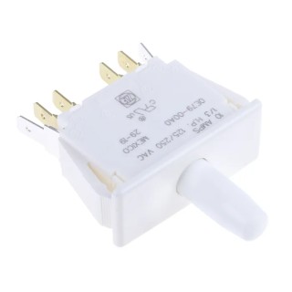 ZF Door Micro Switch DPDT Button 10 A, -40 °C to 85 °C E79-00A