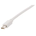 NewLink White Mini DisplayPort to DVI Adapter 1080p Resolution Male to Female Connector 706-7088