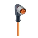 Lumberg Automation Female 4 Way Right Angle to Unterminated Sensor Actuator Cable 230V RKWT4-07/2