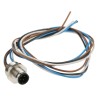 Lumberg Automation Male 4 Way Straight to Unterminated Sensor Actuator Cable 200 mm RSF4-07/0.2