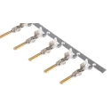 TE Connectivity Econoseal J Series Automotive Connector Male Tab Crimp 10A Gold Plated Contact 171661-2