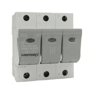 Mersen 63A Bottle Fuse Holder Panel Mount 3-Pole for D02, 36 x 15 mm Fuse, 400V AC B1012622 / 05863.063000