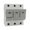 Mersen 63A Bottle Fuse Holder Panel Mount 3-Pole for D02, 36 x 15 mm Fuse, 400V AC B1012622 / 05863.063000