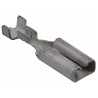 TE Connectivity FASTON 110 Black Uninsulated Female Spade Connector Crimp 2.79 x 0.79 mm Tab Size 26 AWG to 22 AWG 160772-3
