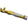 TE Connectivity Type III Series Female Crimp Terminal, 24 AWG Min Crimp, 20 AWG Max, 13A, Brass Contact, Gold 66563-8
