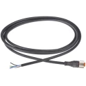 Lumberg Automation Sensor Actuator Cable Female 5 way M12 to Unterminated Free End, 2 m, Black PVC 11373 RKT 5-228/2 M