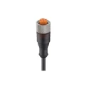 Lumberg Automation Female 5-Way Straight to Unterminated Sensor Actuator Cable, 5 m, Black Polypropylene 11374 RKT 5-228/5 M