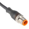 Lumberg Automation Male 4 Way Straight to Unterminated Free End Sensor Actuator Cable 2 m 250V IP65 IP67 11809 RST 4-225/2 M