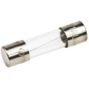 Littelfuse 1A T Glass Cartridge Fuse 5 x 20 mm 250V AC Time Delay 0218001.MXP