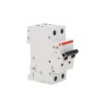 ABB System Pro M Compact S200 Miniature Circuit Breaker 2-Pole 6A Type C 400V AC 6 kA Breaking 2CDS252001R0064 S202-C6