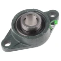 RS PRO Two-Bolt Flange Bearing Unit Cast Iron 19 mm Inside Diameter UCFL207-20