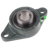 RS PRO Two-Bolt Flange Bearing Unit Cast Iron 19 mm Inside Diameter UCFL207-20