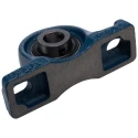 RS PRO Two-Bolt Cast Iron Pillow Block Bearing 17 mm Inside Diameter UCP203