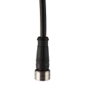 Brad from Molex Female 8 Way Straight to 5 Way Unterminated Sensor Actuator Cable 5m 1200795024