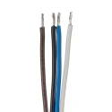 Brad from Molex Sensor Actuator Cable Female 4 Way Straight to 4 Way Unterminated 300mm 1200845107