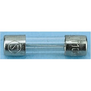 Schurter 2.5A T Glass Cartridge Fuse 5 x 20 mm 250V AC Time Delay FST 5x20 0034.3121