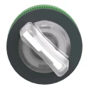 Schneider Electric Selector Switch Head 2 Position Illuminated 30 mm Cutout IP67 White Handle ZB5FK1213