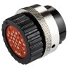 ITT Cannon Industrial Circular Connector, 24 Contacts, Cable Mount, Plug, Male, IP67, 250V TN6S24-0420P1L / 192900-0014
