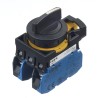 Idec Spring Return Selector Switch DPST, 3 Positions, 22 mm Cutout Diameter CW1S-31E20
