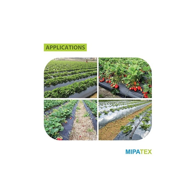 mipatex-20-micron-virgin-mulching-sheet-paper-for-agriculture-1m-x-100m-outdoor-garden-mulch-film-weed-control-sheet-44661-2