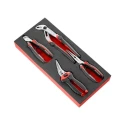 Facom Foam Tool Tray, Rectangular Shape, W 188mm x L 418mm x H 45mm PM.MODCPEA2