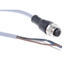 Jumo Sensor Actuator Cable Female 4-Way M12 to Free End 2 m 35V 909725/0001
