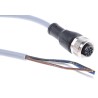 Jumo Sensor Actuator Cable Female 4-Way M12 to Free End 2 m 35V 909725/0001