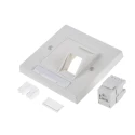 Molex CES PowerCat Euromod II Series Angled Cat6 RJ45 DataGate Plus UTP Shield Type 