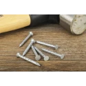 RS PRO Galvanised Plaster Board Nail 30 mm Length x 2.65 mm Diameter 500 g Bag 170-1663