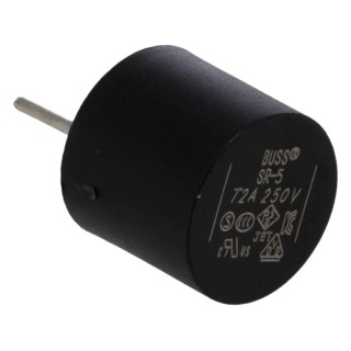 Eaton Non-Resettable Fuse Radial 2A 250V AC Time Delay SR-5-2A-BK