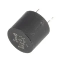 Eaton Radial Time Delay Fuse 315mA 250V AC SR-5-315MA-BK