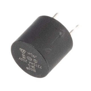 Eaton Radial Time Delay Fuse 315mA 250V AC SR-5-315MA-BK