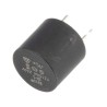 Eaton Radial Time Delay Fuse 315mA 250V AC SR-5-315MA-BK