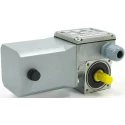 Mini Motor DC Geared Motor 37W 24V dc 1.58Nm 186rpm 9mm Shaft Diameter BC 2000 24MP 15 B3