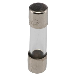 Schurter Quick-Acting Glass Cartridge Fuse 100mA 250V AC 5 x 20 mm FSF 5x20 0034.1506