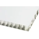 RS PRO Aluminium Metal Sheet 1.2 m x 1.2 m, 20 mm Thick, White, Hardness HB-F, Tensile Strength 185N/mm² 778-1674
