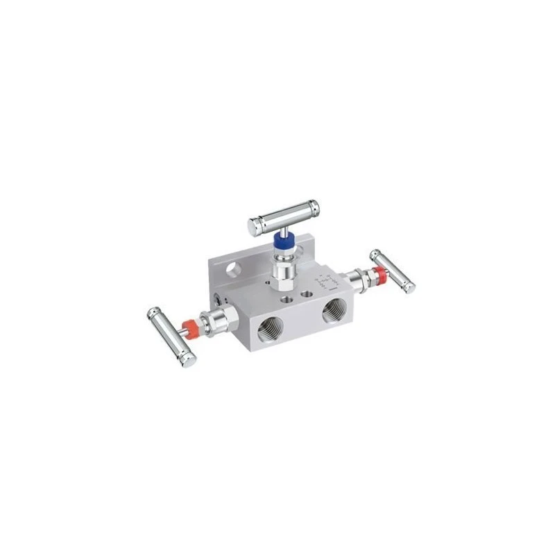  3-valve-manifold-ss316-1-2-inch-nptf-5911-1