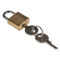 RS PRO Key Brass Padlock, 4 mm Shackle Diameter, 12 mm Shackle Length, 2 mm Brass Body 781-5994
