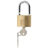 RS PRO Key Brass Padlock, 6 mm Shackle Diameter, 40 mm Body Width, Corrosion Resistant 781-5991