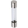 SIBA Fast Acting Glass Cartridge Fuse 10A 250V AC 6.3 x 32 mm Fuse Series GZ 70-059-60/10A