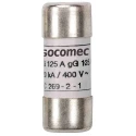 Socomec Industrial Cartridge Fuse 500mA 500V AC 10 x 38 mm 60120000