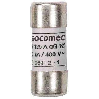Socomec Industrial Cartridge Fuse 500mA 500V AC 10 x 38 mm 60120000