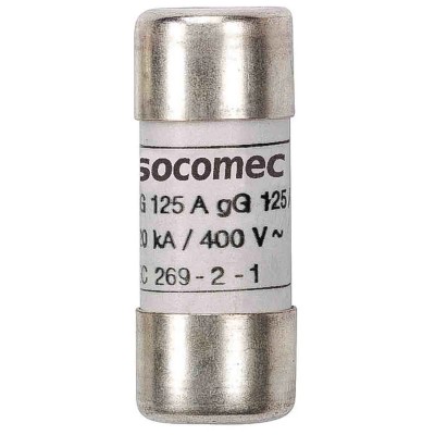 Socomec Industrial Cartridge Fuse 500mA 500V AC 10 x 38 mm 60120000